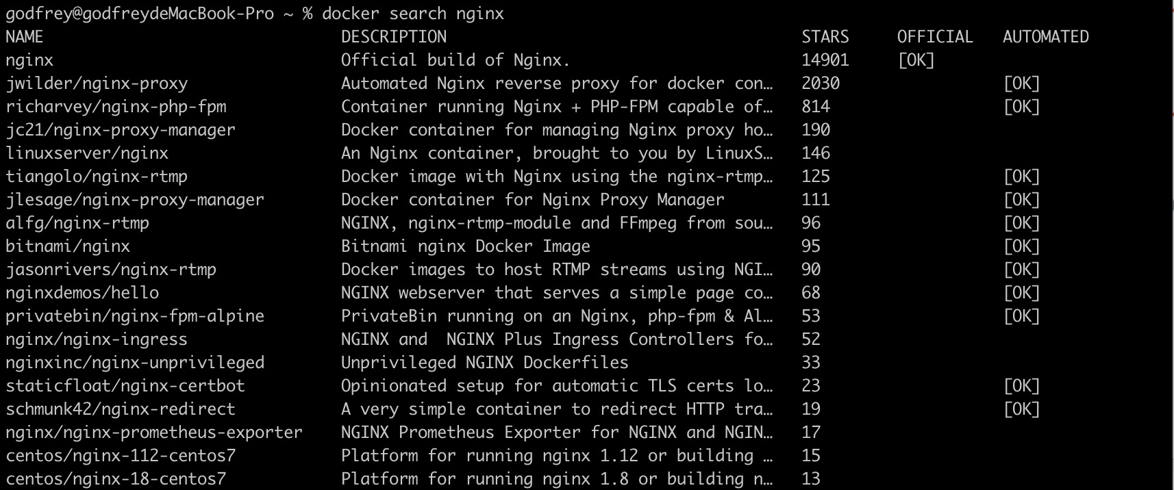 nginx-docker-2.png